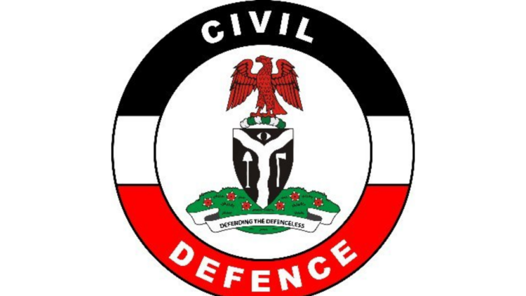 NSCDC Arrests Kwara woman for brutalising girl over alleged N2,000 theft